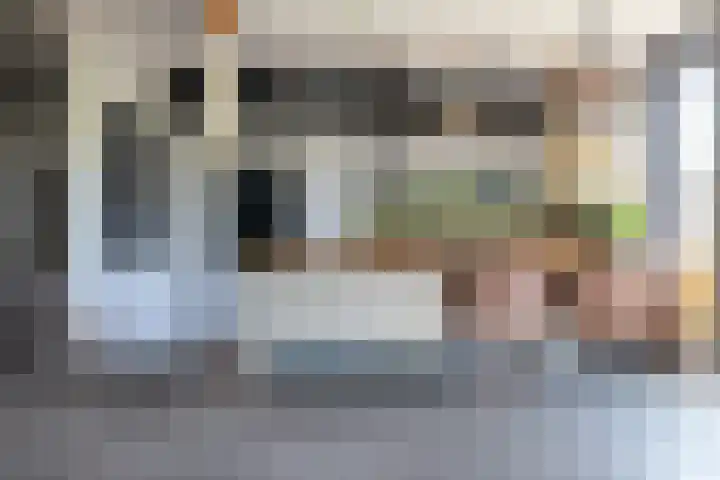 Van Swindenhof 3 Rotterdam thumbnail 10