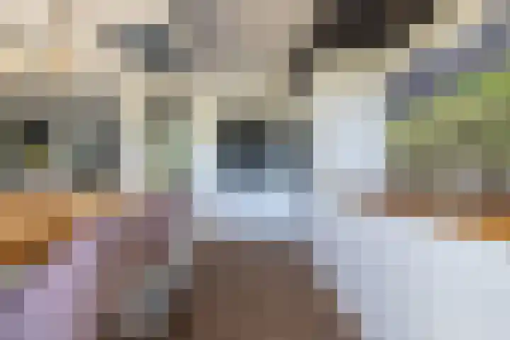 Van Swindenhof 3 Rotterdam thumbnail 15