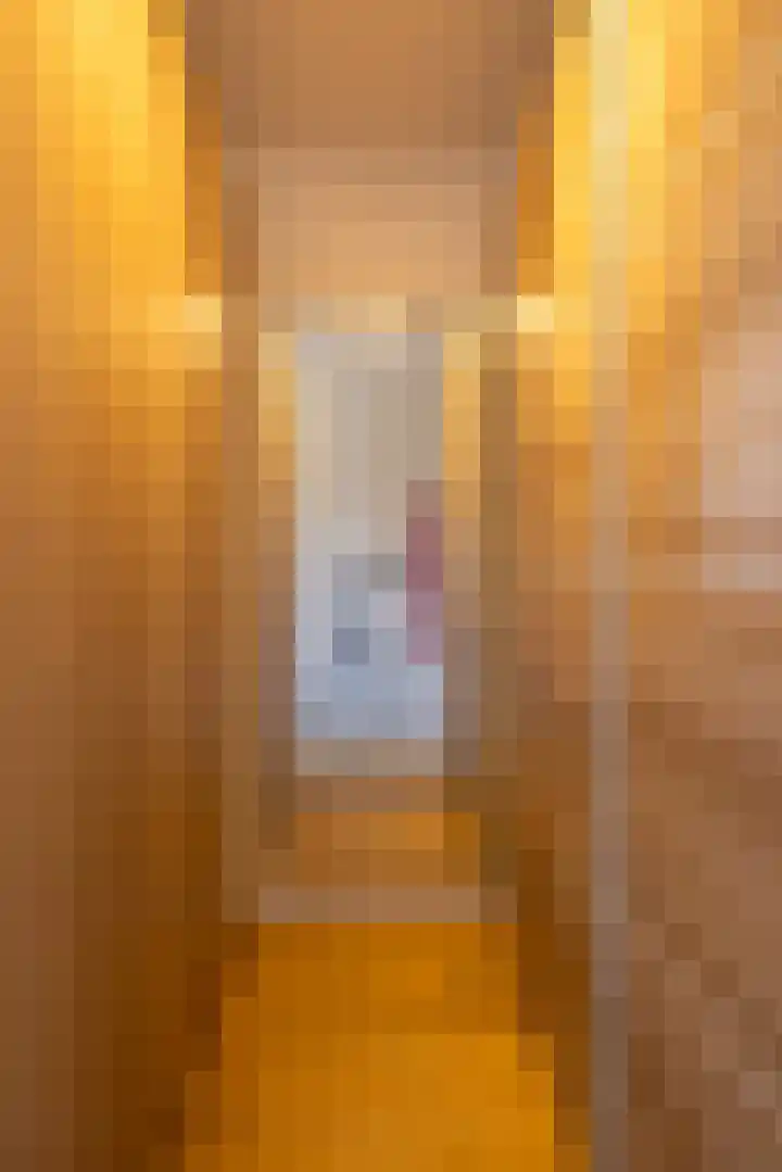 Van Swindenhof 3 Rotterdam thumbnail 22