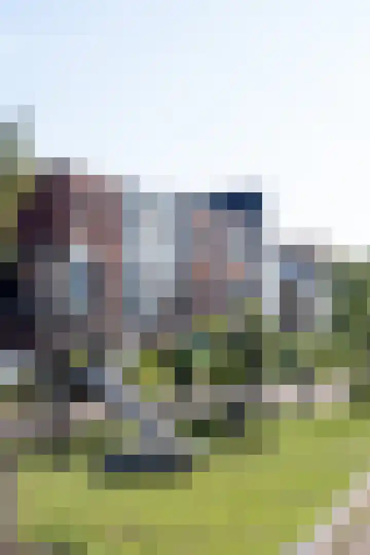 Van Swindenhof 3 Rotterdam thumbnail 54