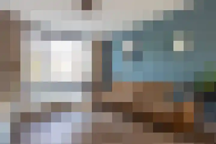 Van Swindenhof 3 Rotterdam thumbnail 7