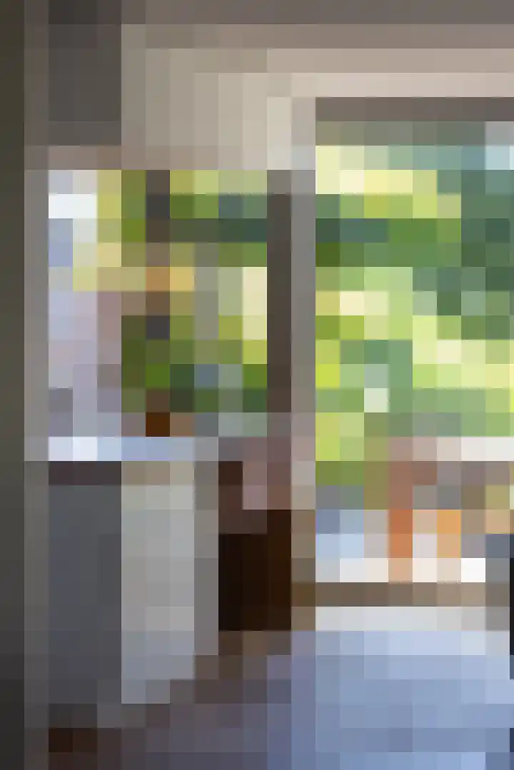 Van Swindenhof 3 Rotterdam thumbnail 9