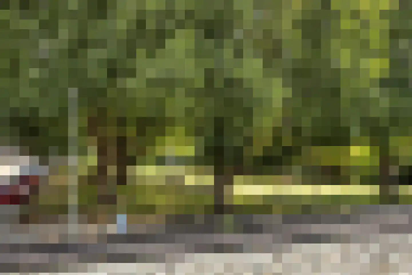 Van Swindensingel 4 Schiedam thumbnail 23