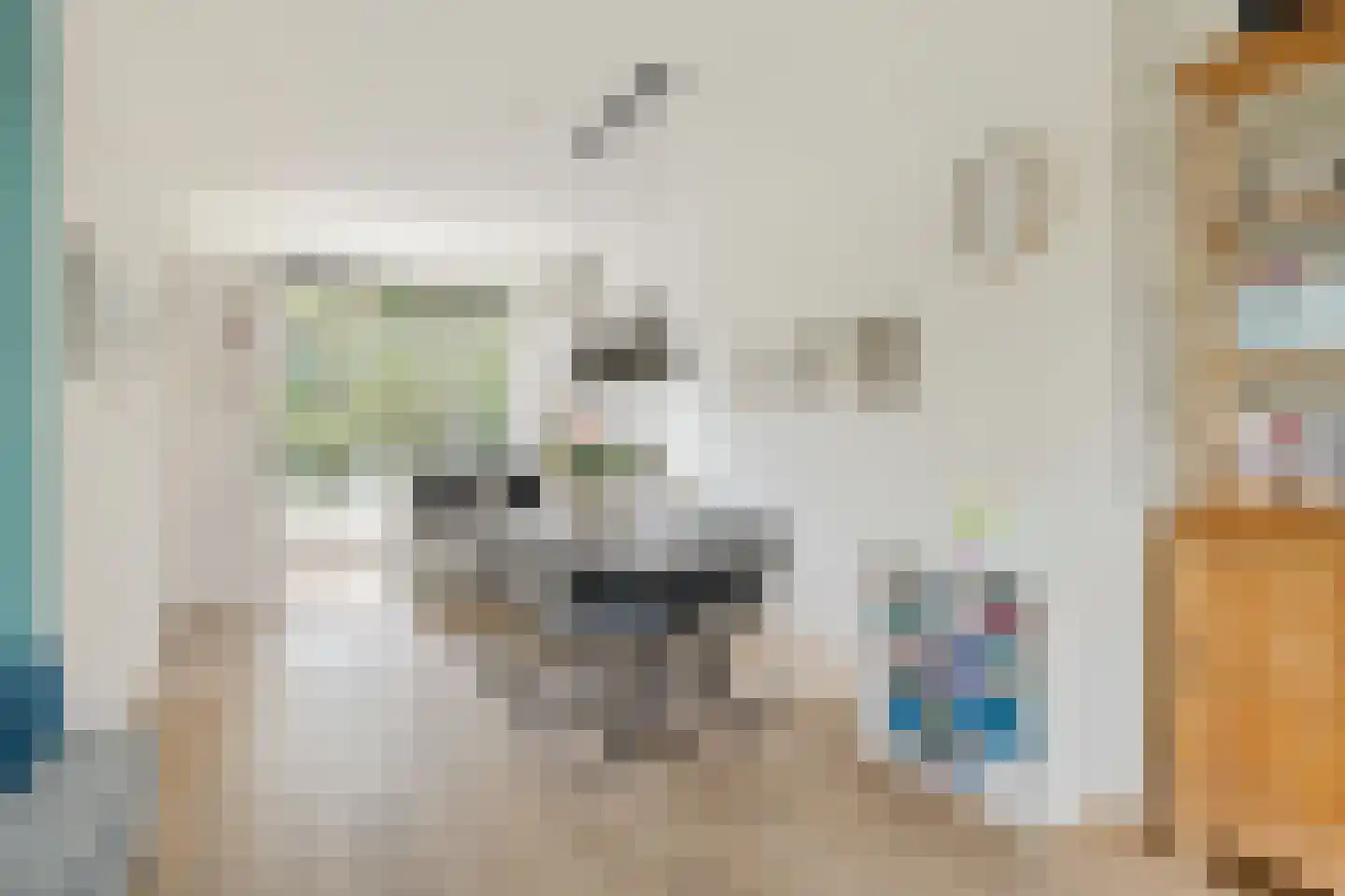 Van Swindenstraat 106 Utrecht thumbnail 10