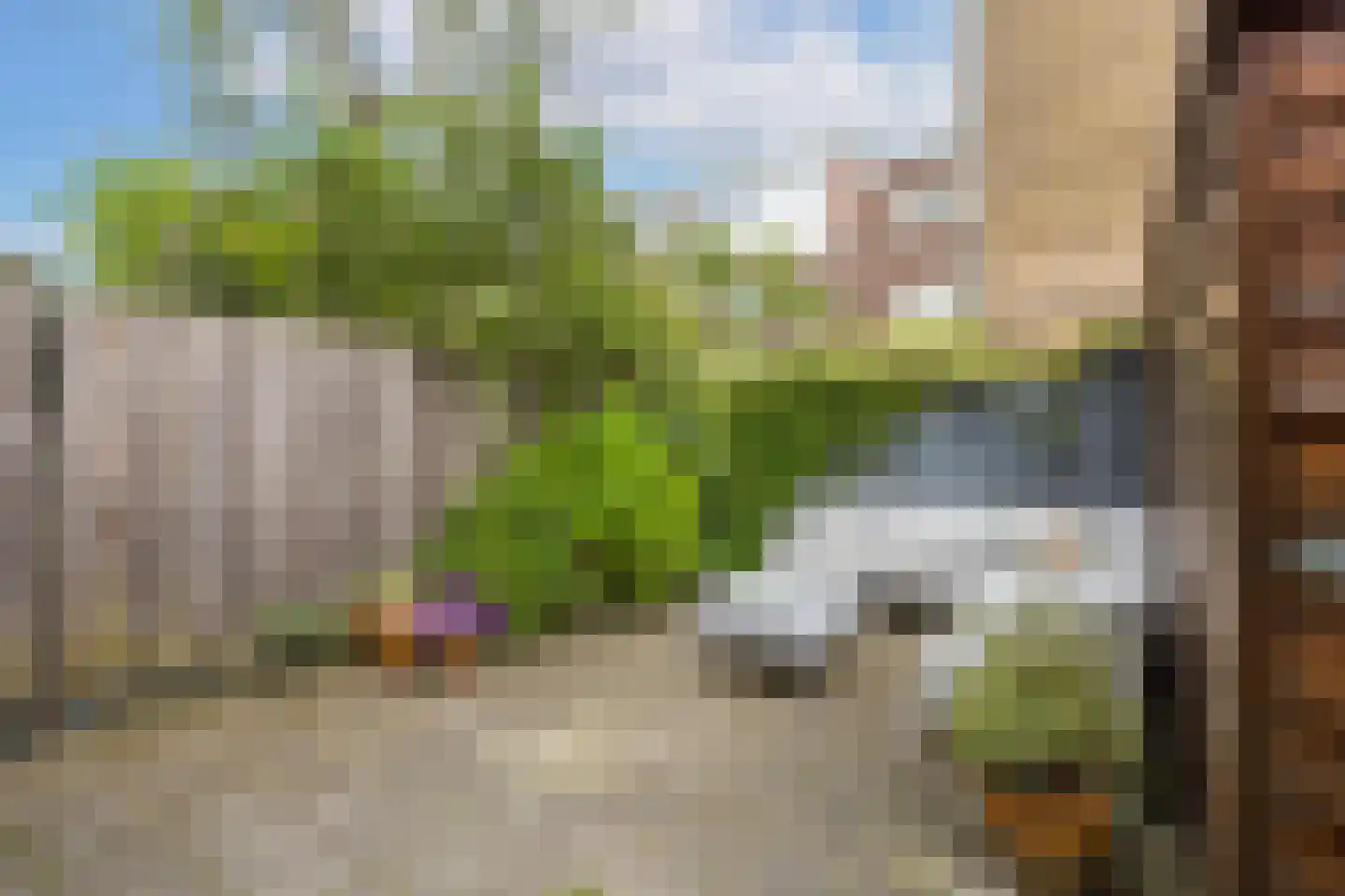 Van Swindenstraat 106 Utrecht thumbnail 20