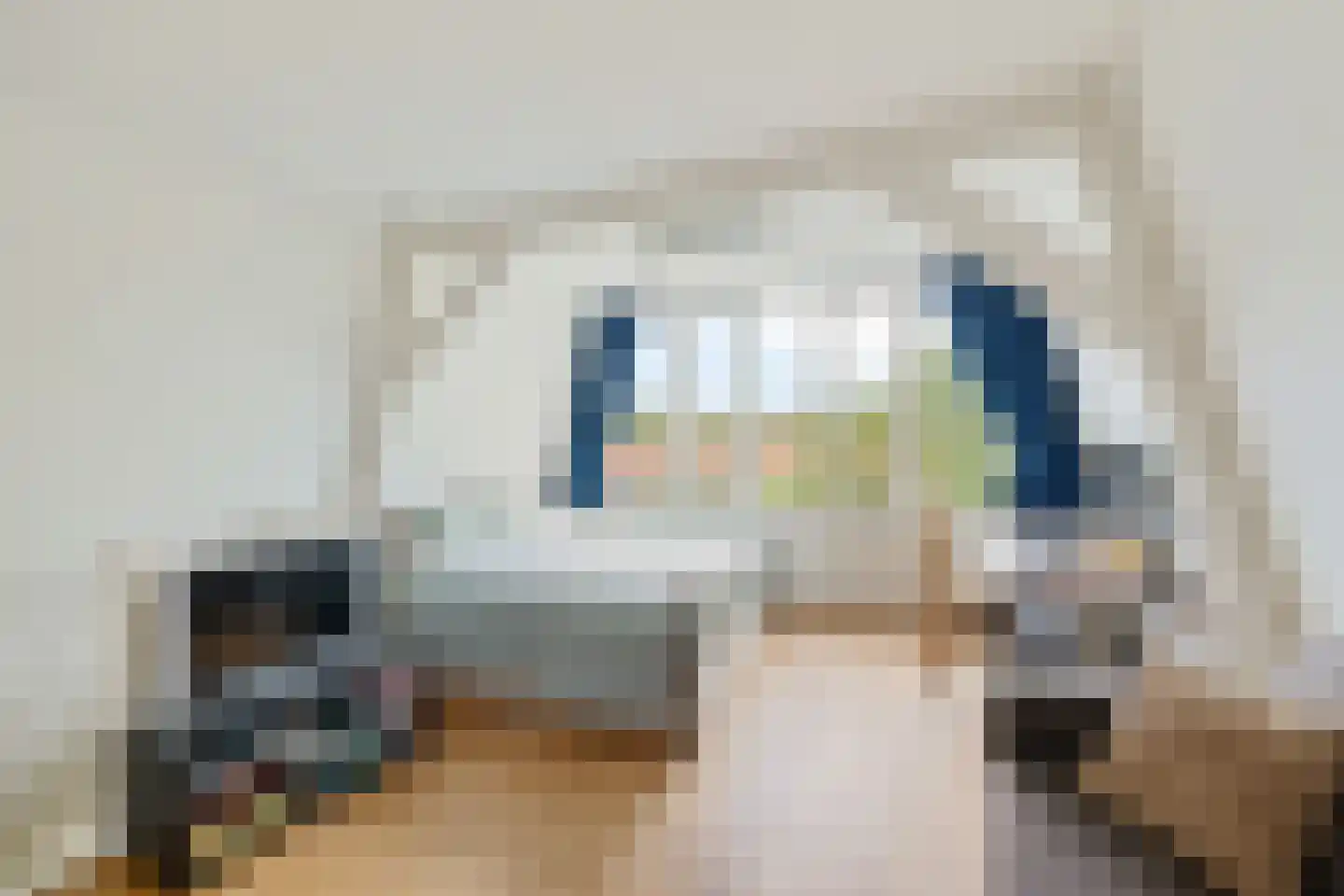 Van Swindenstraat 106 Utrecht thumbnail 39