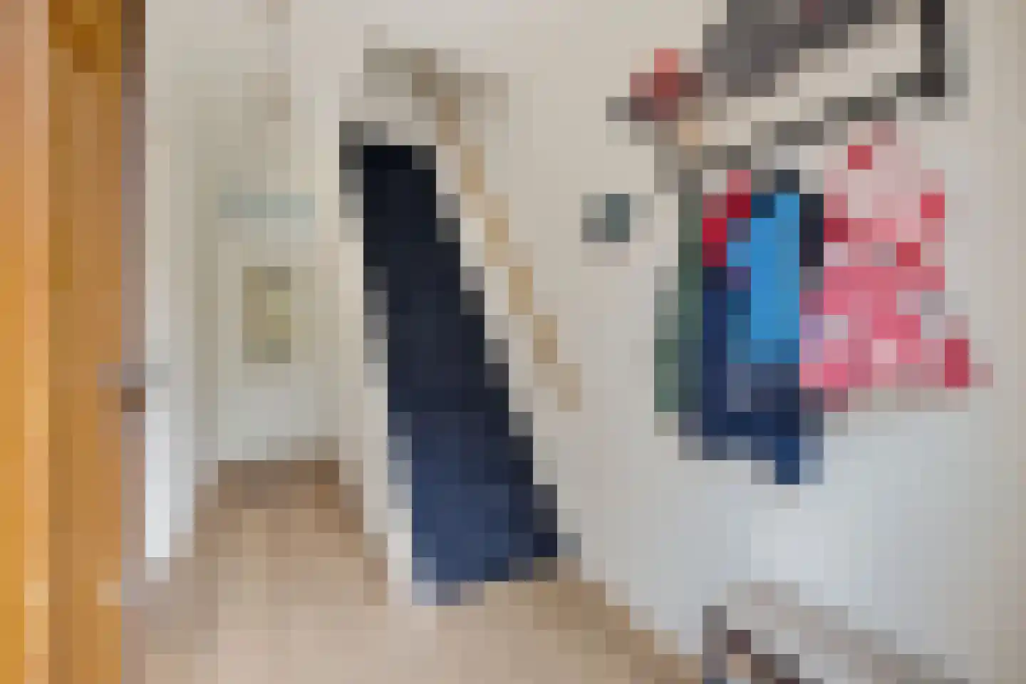 Van Swindenstraat 106 Utrecht thumbnail 8