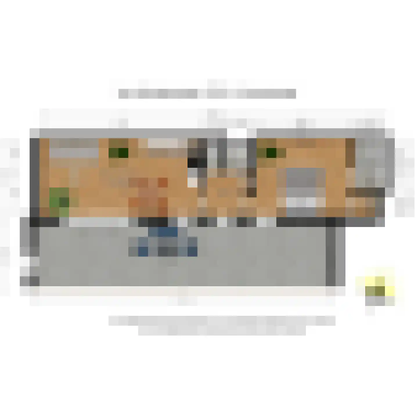 Van Swindenstraat 107 A Den Haag thumbnail 41
