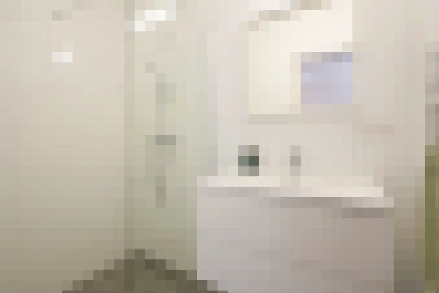 Van Swindenstraat 107 A Den Haag thumbnail 5