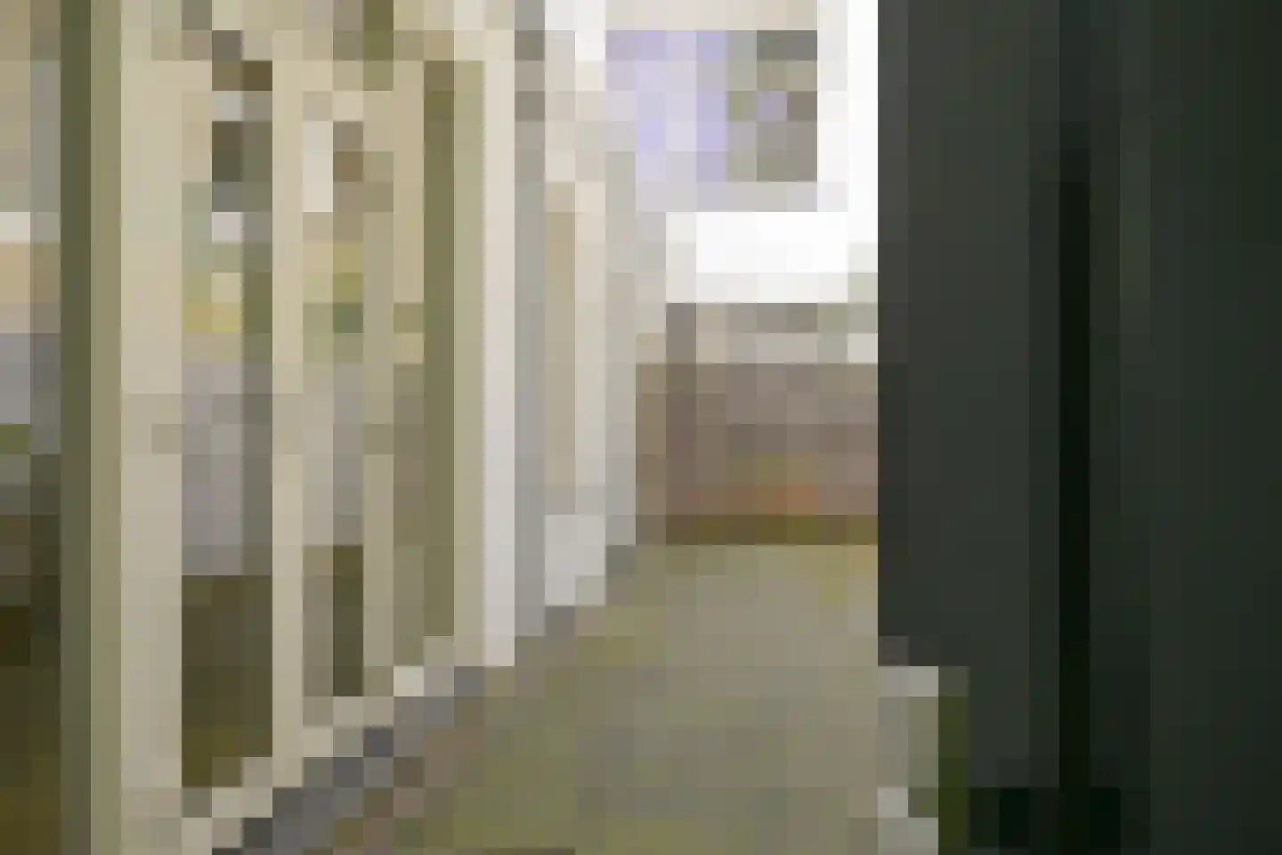 Van Swindenstraat 107 A Den Haag thumbnail 9
