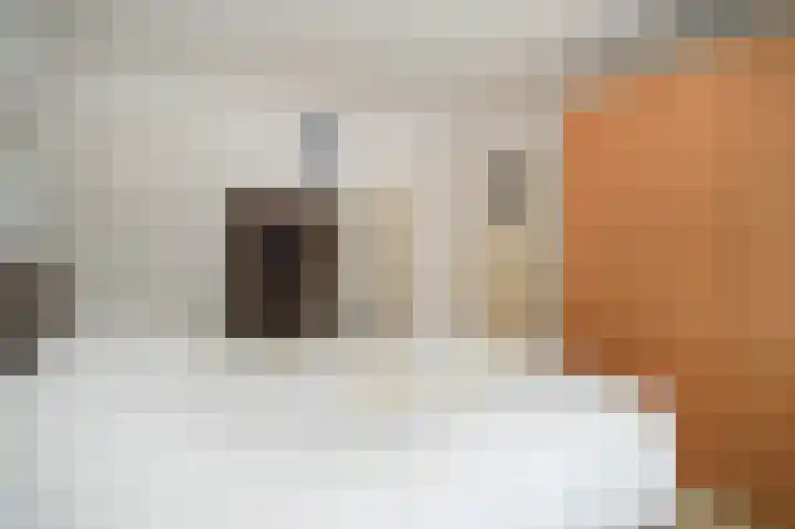 Van Swindenstraat 128 Utrecht thumbnail 19