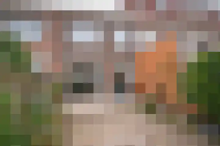 Van Swindenstraat 128 Utrecht thumbnail 31