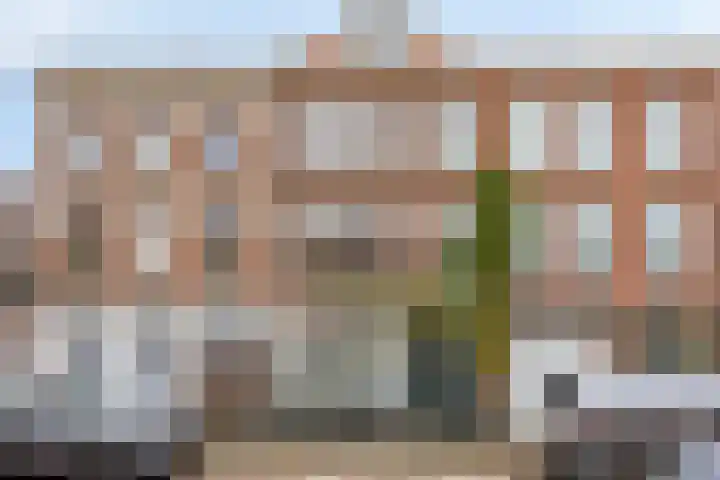 Van Swindenstraat 223 in Den Haag