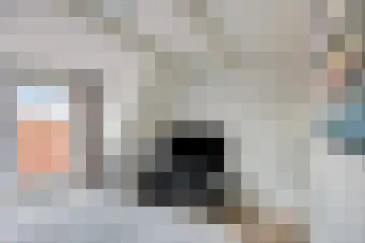 Van Swindenstraat 223 Den Haag thumbnail 33