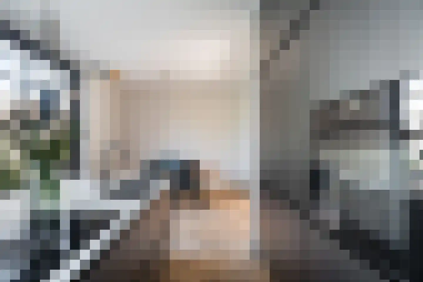 Van Swindenstraat 28 Den Haag thumbnail 12
