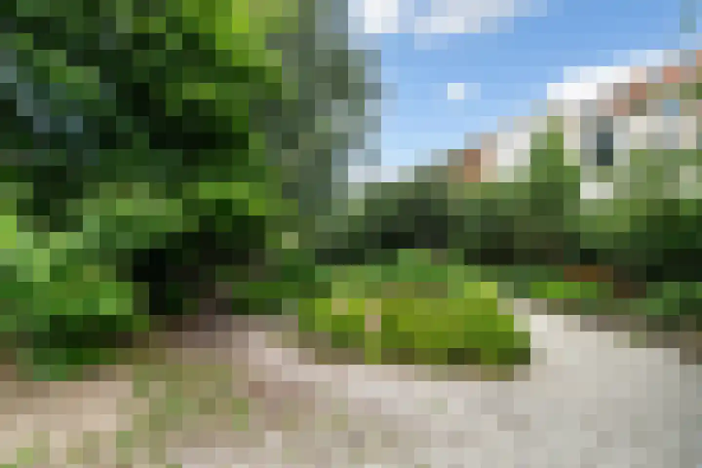 Van Swindenstraat 28 Den Haag thumbnail 33
