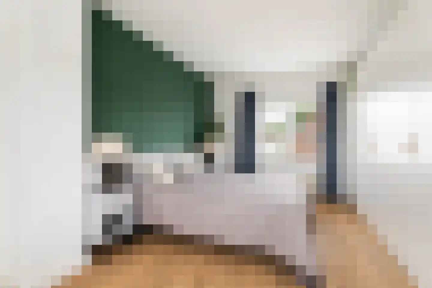 Van Swindenstraat 3 Utrecht thumbnail 16