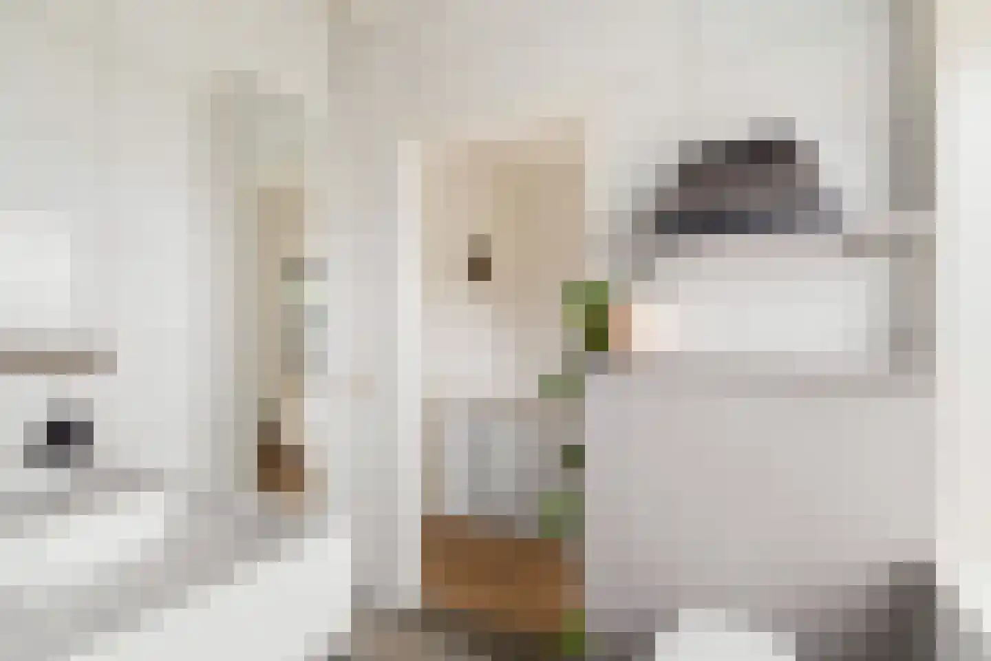 Van Swindenstraat 3 Utrecht thumbnail 27