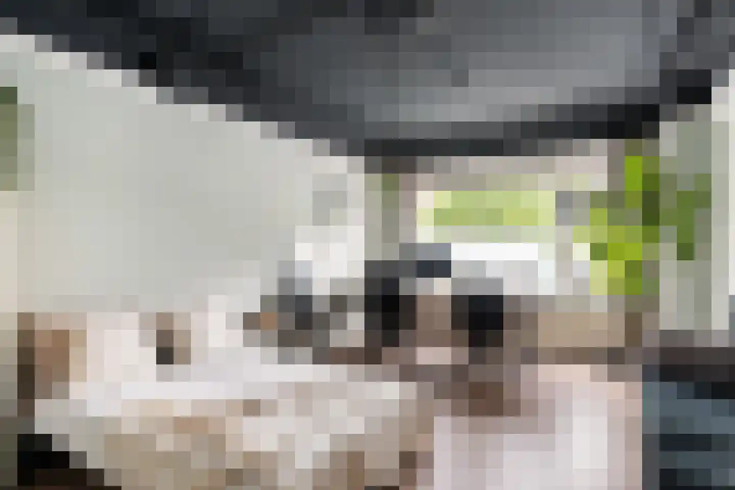 Van Swindenstraat 3 Utrecht thumbnail 31