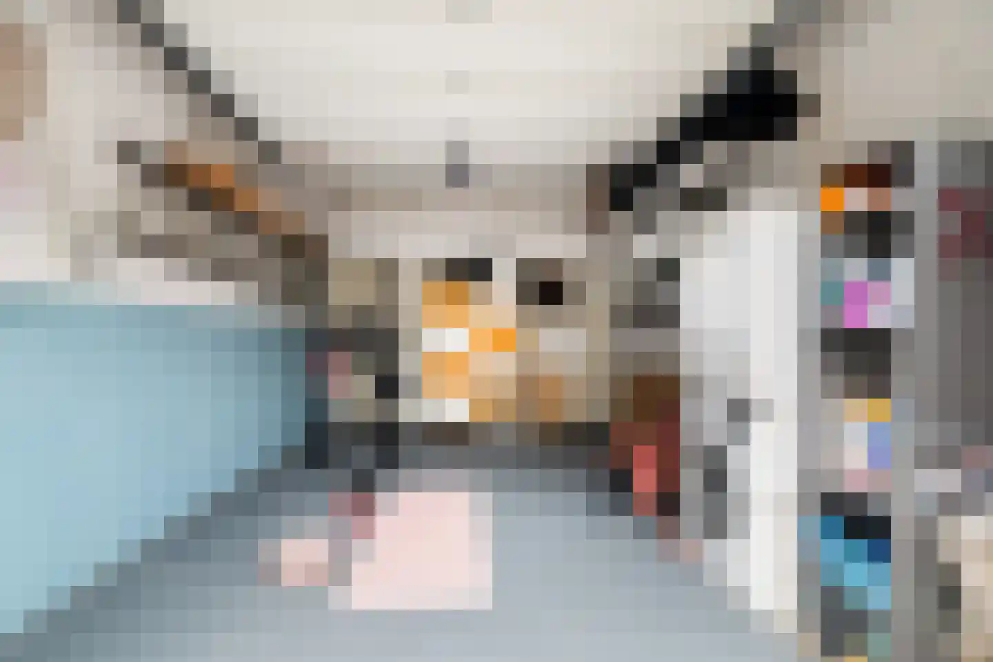 Van Swindenstraat 3 Utrecht thumbnail 32
