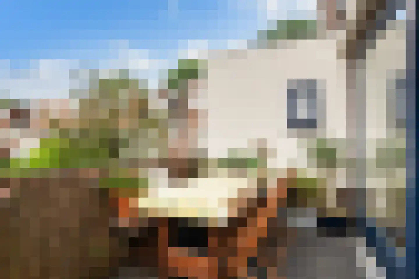 Van Swindenstraat 3 Utrecht thumbnail 38