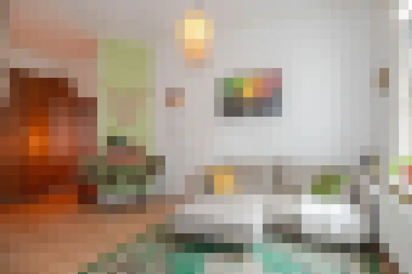 Van Swindenstraat 57 Den Haag thumbnail 19