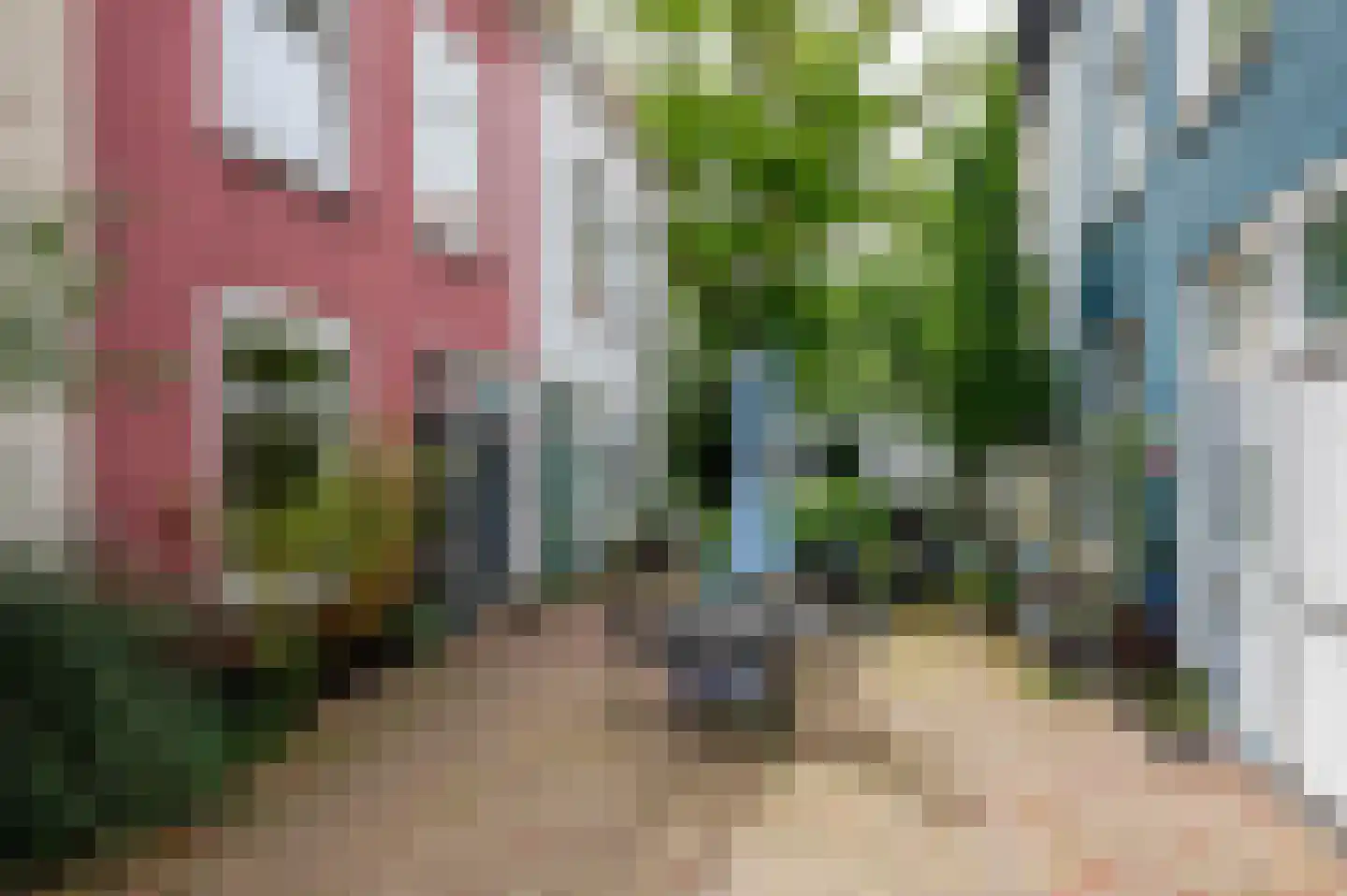 Van Swindenstraat 57 Den Haag thumbnail 6