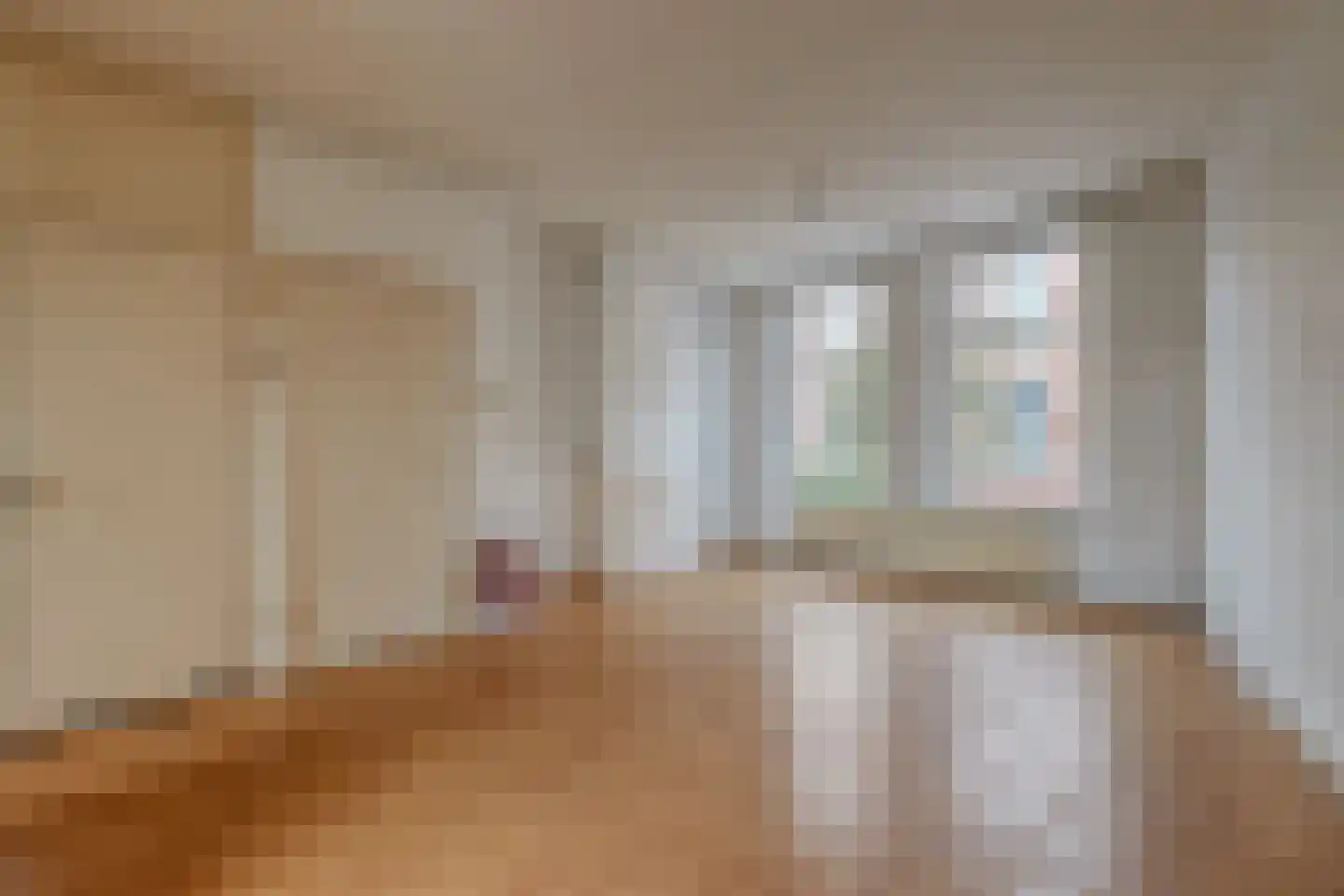 Van Swindenstraat 6 Den Haag thumbnail 4