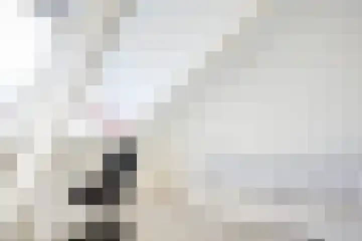 Van Swindenstraat 6 Utrecht thumbnail 37