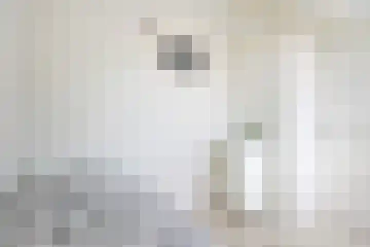 Van Swindenstraat 6 Utrecht thumbnail 39