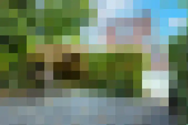 Van Swindenstraat 6 Utrecht thumbnail 48