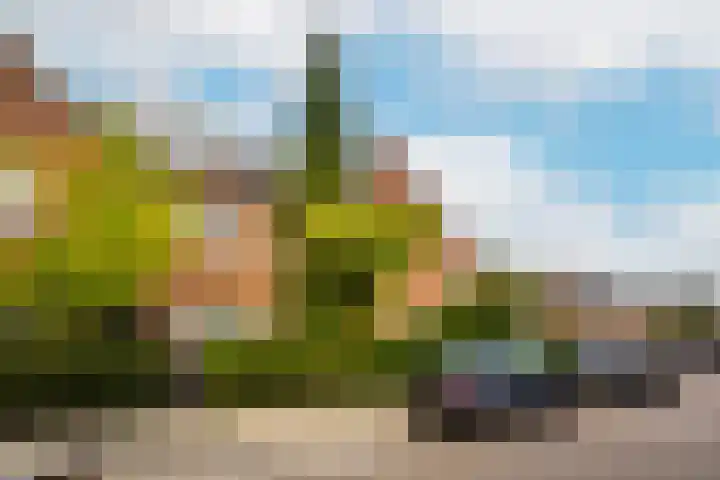 Van Swindenstraat 6 Utrecht thumbnail 51