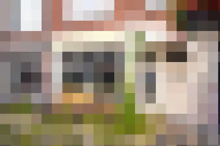Van Swindenstraat 6 Utrecht thumbnail 53
