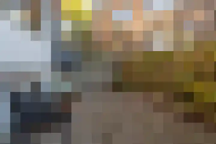 Van Swindenstraat 61 Schiedam thumbnail 32