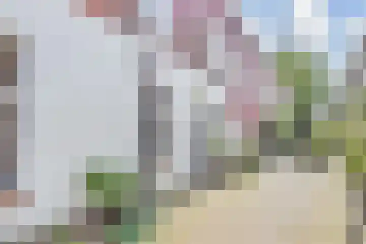 Van Swindenstraat 71 Den Haag thumbnail 7
