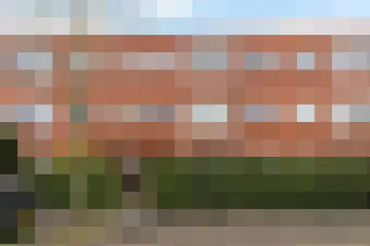 Van Swinderenstraat 19 b Groningen thumbnail 32