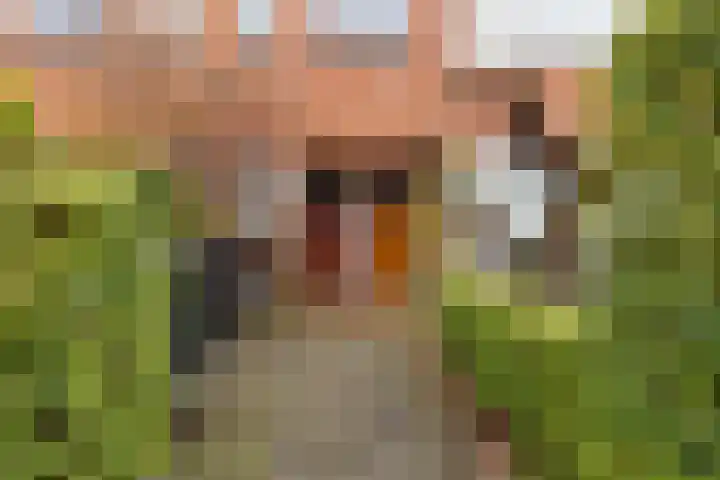 Van Swinderenstraat 19 b Groningen thumbnail 35
