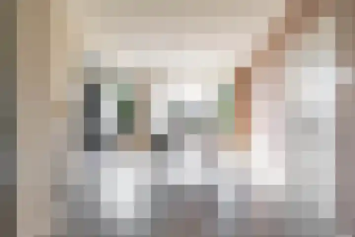 Van Swinderenstraat 21 b Groningen thumbnail 34