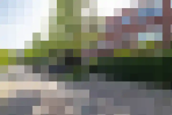 Van Swinderenstraat 21 b Groningen thumbnail 9