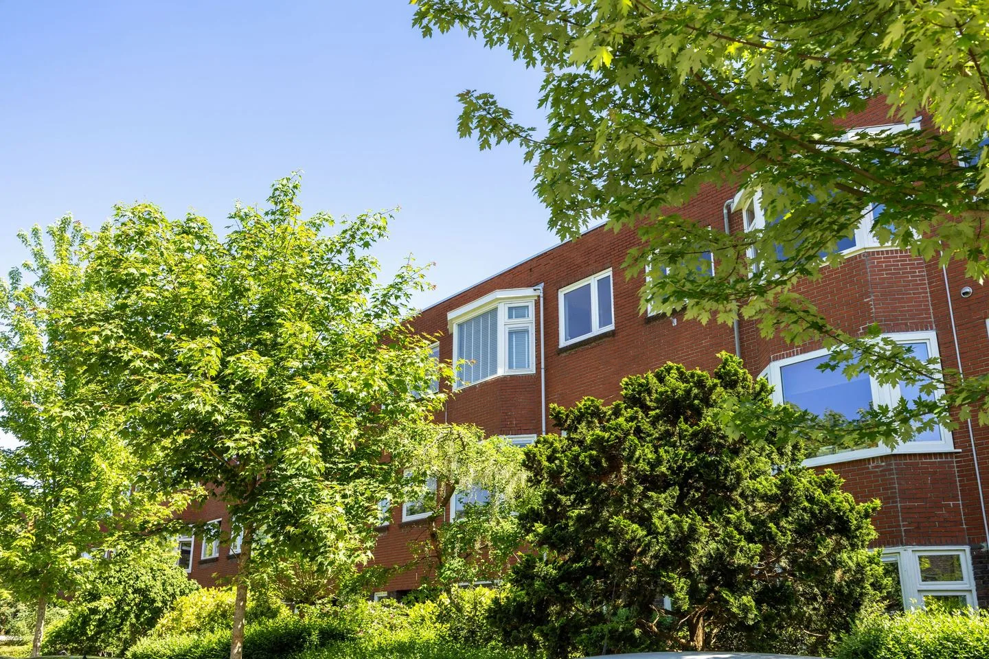 Van Swinderenstraat 23 b Groningen