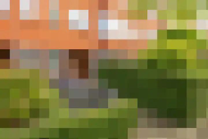 Van Swinderenstraat 23 Groningen thumbnail 11