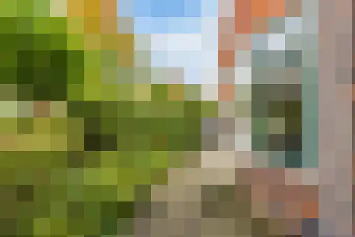Van Swinderenstraat 23 Groningen thumbnail 13