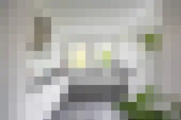Van Swinderenstraat 23 Groningen thumbnail 17