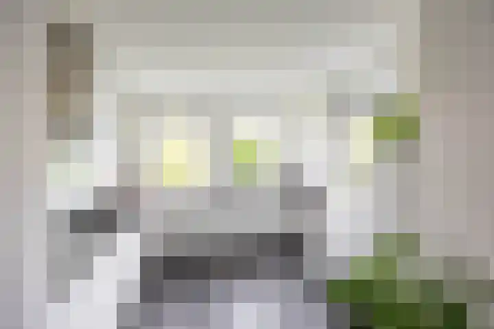 Van Swinderenstraat 23 Groningen thumbnail 18