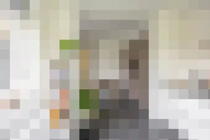 Van Swinderenstraat 23 Groningen thumbnail 20
