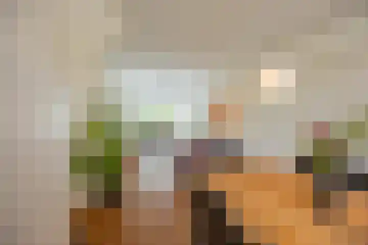 Van Swinderenstraat 23 Groningen thumbnail 30