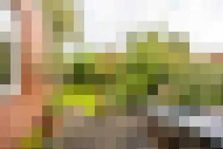 Van Swinderenstraat 23 Groningen thumbnail 32