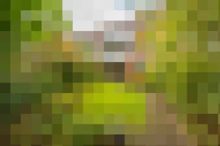 Van Swinderenstraat 23 Groningen thumbnail 33