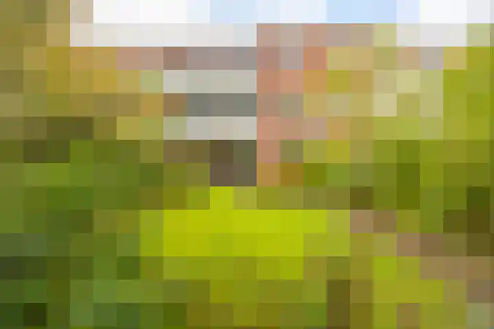 Van Swinderenstraat 23 Groningen thumbnail 34