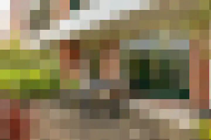 Van Swinderenstraat 23 Groningen thumbnail 37